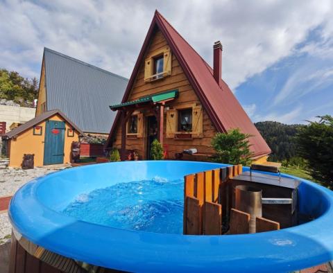 House in Mrkopalj, Gorski Kotar - pic 2