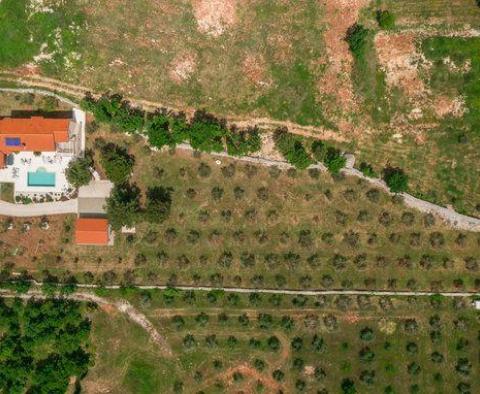 Красивая роскошная вилла с оливковой рощей площадью 5800 кв.м. в районе Водняна - фото 3