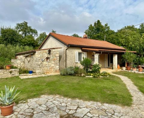 Idyllic secluded house, close to the sea in Lovrecica near Umag 