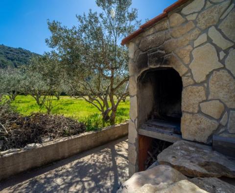 Detached house in Starigrad area on Hvar island with an olive field  - pic 15