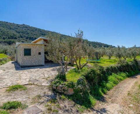 Detached house in Starigrad area on Hvar island with an olive field  - pic 18