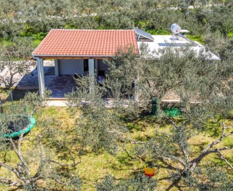 Detached house in Starigrad area on Hvar island with an olive field  - pic 19
