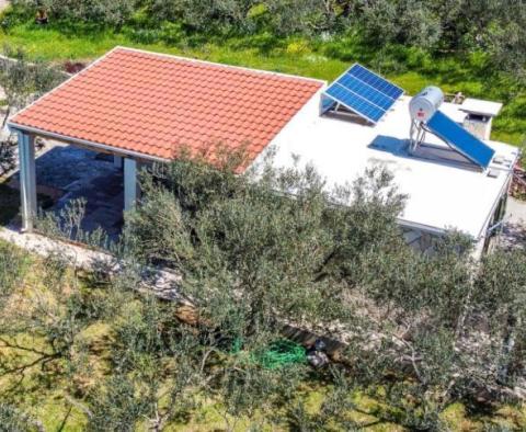 Samostatně stojící dům v oblasti Starigrad na ostrově Hvar s olivovým polem 
