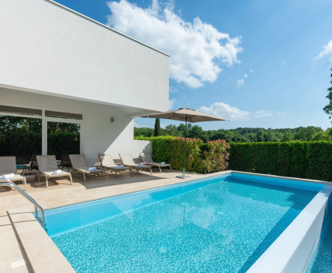 Superbe villa moderne avec intérieur design, piscine intérieure et bien-être - Quartier Zminj - pic 7