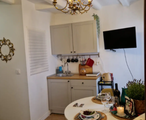 Rare apartment in Rovinj, renovated studio - pic 5