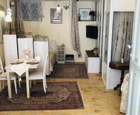 Charmant appartement dans la vieille ville du célèbre Rovinj - pic 4