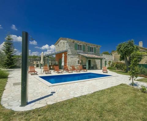 Stylish stone villa with swimming pool and additional building - pic 2