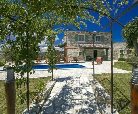 Stylish stone villa with swimming pool and additional building - pic 3