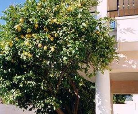 Appartement avec balcon donnant sur la mer Adriatique, à seulement 100 mètres de la plage - pic 10