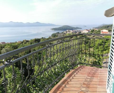 Wunderschönes Steinhaus mit offenem Meerblick auf der Insel Iz in der Gegend von Zadar - foto 2