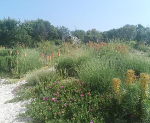 Wunderschönes Steinhaus mit offenem Meerblick auf der Insel Iz in der Gegend von Zadar - foto 28