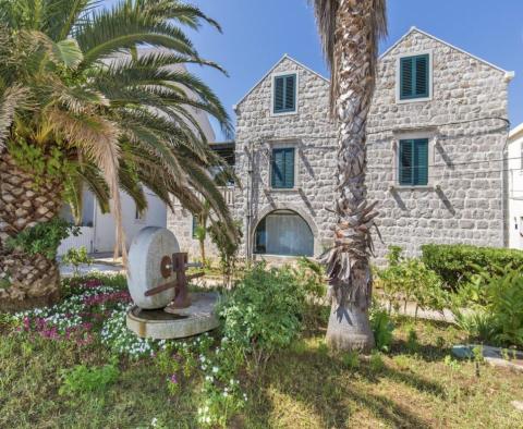 Exceptionnelle villa dalmate en pierre sur la 1ère ligne de mer sur l'île près de Dubrovnik - pic 3