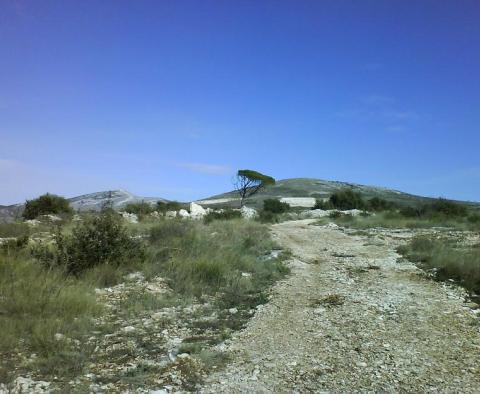 Prostorná zemědělská půda nad Trogirem - pic 4