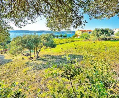 Villa mindössze 50 méterre a tengertől Supetarska Draga városában, Rab szigetén - pic 6