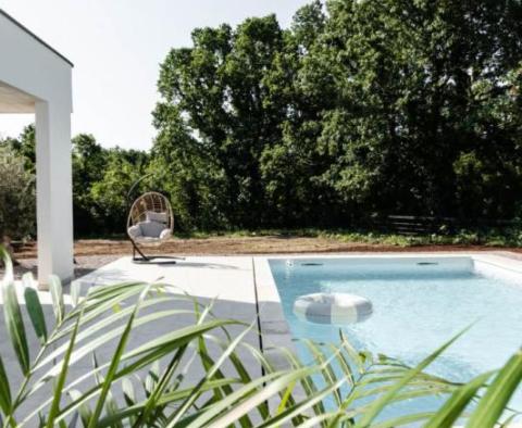 Moderne einstöckige Villa mit Swimmingpool in der Gegend von Rabac 
