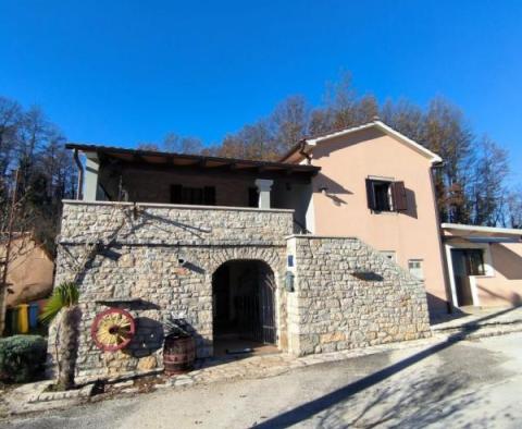Stone house with tavern in Pazin - pic 7