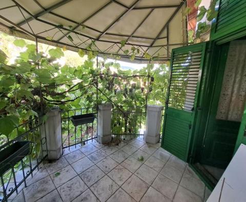 L'étage entier d'une villa austro-hongroise avec une entrée privée, deux terrasses et un jardin à Opatija - pic 3