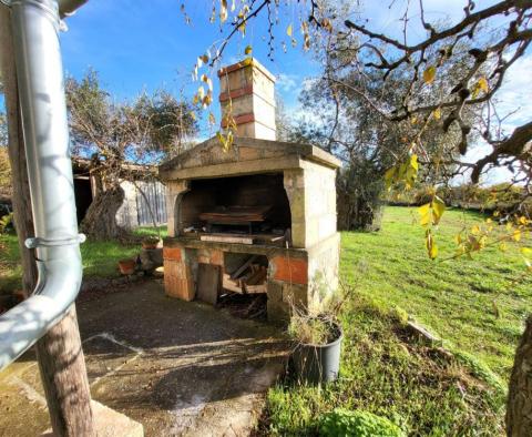 Családi ház egy tágas kertben Rovinj környékén - pic 8