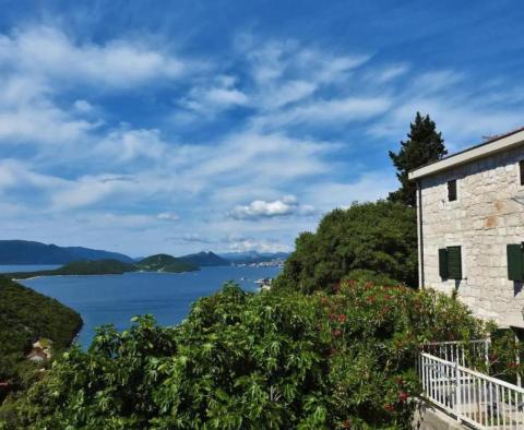 Belle villa dalmate en pierre avec piscine et vue sur la mer dans la région de Klek - pic 4