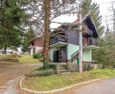 Wunderschönes idyllisches Holzferienhaus Vrbovsko, Gorski Kotar 