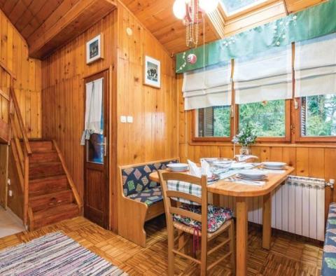 Wonderful idyllic wooden holiday house Vrbovsko, Gorski Kotar - pic 5