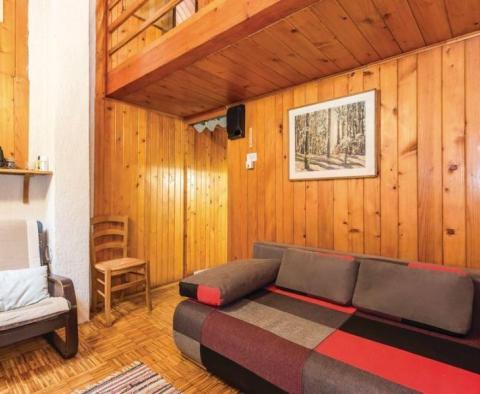 Wonderful idyllic wooden holiday house Vrbovsko, Gorski Kotar - pic 8