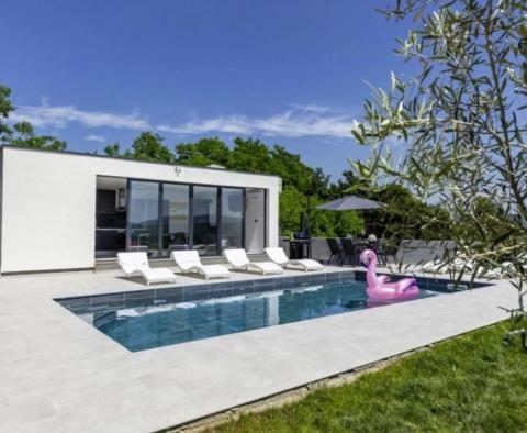 Villa of modern design surrounded by nature in Krsan - pic 7