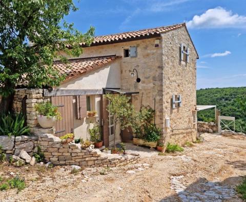 Maison design en pierre avec une vue spectaculaire sur la mer dans la région de Buje 