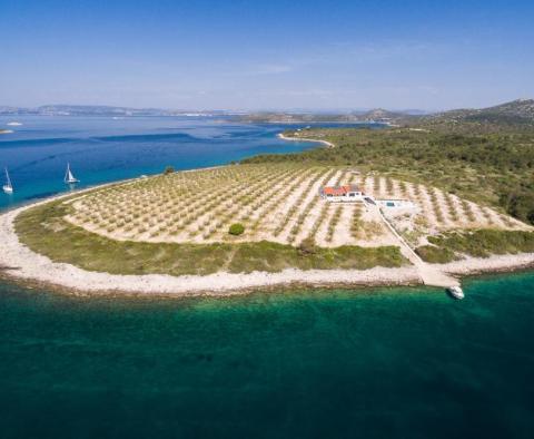 Jedna a jediná izolovaná ostrovní vila s olivovým hájem o rozloze 47500 m2. pozemku, kotviště a absolutní soukromí 
