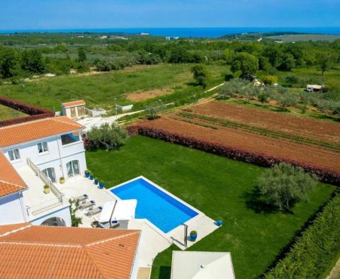 Lenyűgöző villa Porec környékén - modern palazzo zöldövezetben, 1,5 km-re a tengertől - pic 2