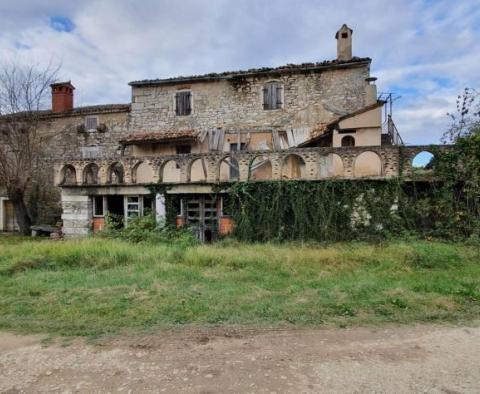 Domaine unique à Grožnjan sur 114.440m2 de terrain - pic 10