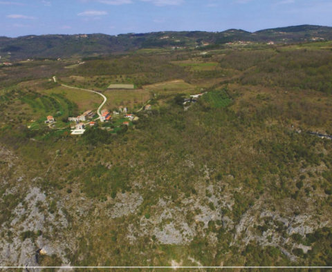 Unique estate in Grožnjan on 114.440m2 of land - pic 57