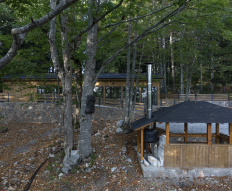 Úžasná vila s krytým bazénem v Ravna Gora na 33 000 m2. ze země! - pic 6