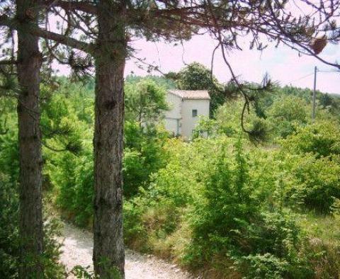 Fantastic estate in Novaki Pazinski, Cerovlje, on 8,4 hecrates of land - pic 8