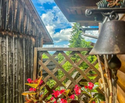 Ferienhaus in Gorski Kotar - foto 32