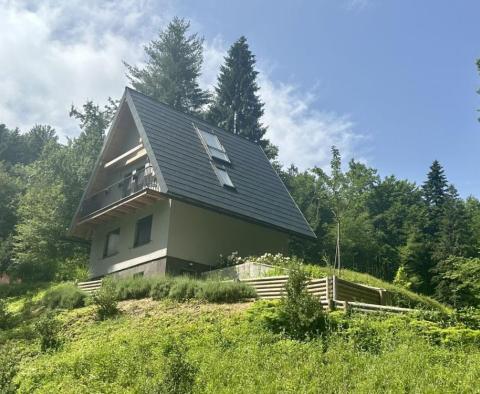 Une belle propriété pour des vacances dans la nature de Kupska Dolina, Gorski Kotar - pic 3
