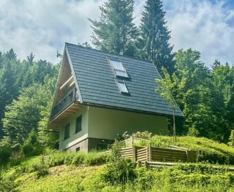 Une belle propriété pour des vacances dans la nature de Kupska Dolina, Gorski Kotar - pic 17