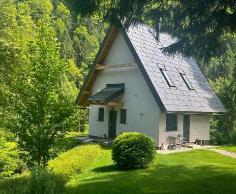 Une belle propriété pour des vacances dans la nature de Kupska Dolina, Gorski Kotar - pic 19