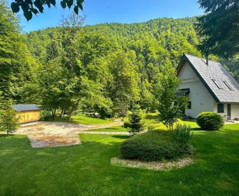 Une belle propriété pour des vacances dans la nature de Kupska Dolina, Gorski Kotar - pic 20