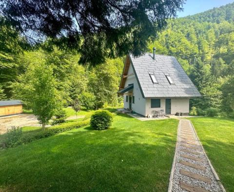 Une belle propriété pour des vacances dans la nature de Kupska Dolina, Gorski Kotar - pic 21