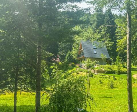 Une belle propriété pour des vacances dans la nature de Kupska Dolina, Gorski Kotar - pic 23