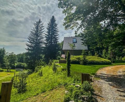 Une belle propriété pour des vacances dans la nature de Kupska Dolina, Gorski Kotar - pic 24