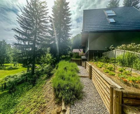 Une belle propriété pour des vacances dans la nature de Kupska Dolina, Gorski Kotar - pic 27