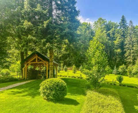 Une belle propriété pour des vacances dans la nature de Kupska Dolina, Gorski Kotar - pic 29
