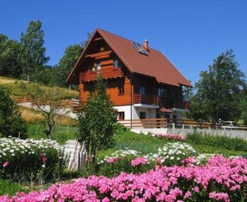 Villa avec piscine, sauna et jardin dans un endroit attrayant à Begovo Razdolje - pic 24