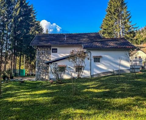 Beautiful house in the heart of Gorski Kotar, Brod Moravice - pic 26