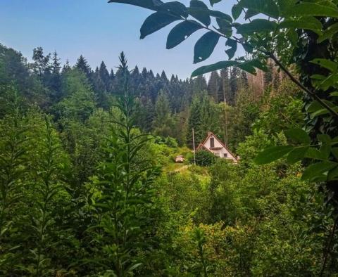 Замечательный дом в Моравице, Врбовско. - фото 38