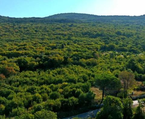 Land plot with wonderful sea views and building permit for lux villa in Rabac, Labin - pic 5