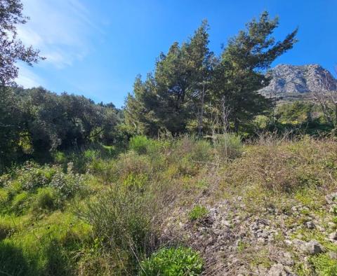 Seltenes Grundstück zum Verkauf in der 2. Reihe vom Meer an der Makarska Riviera - foto 8