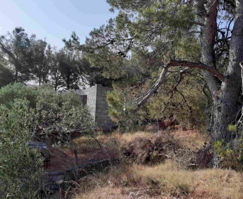 Construction land with sea views just 500 meters from the sea on Solta island! - pic 2